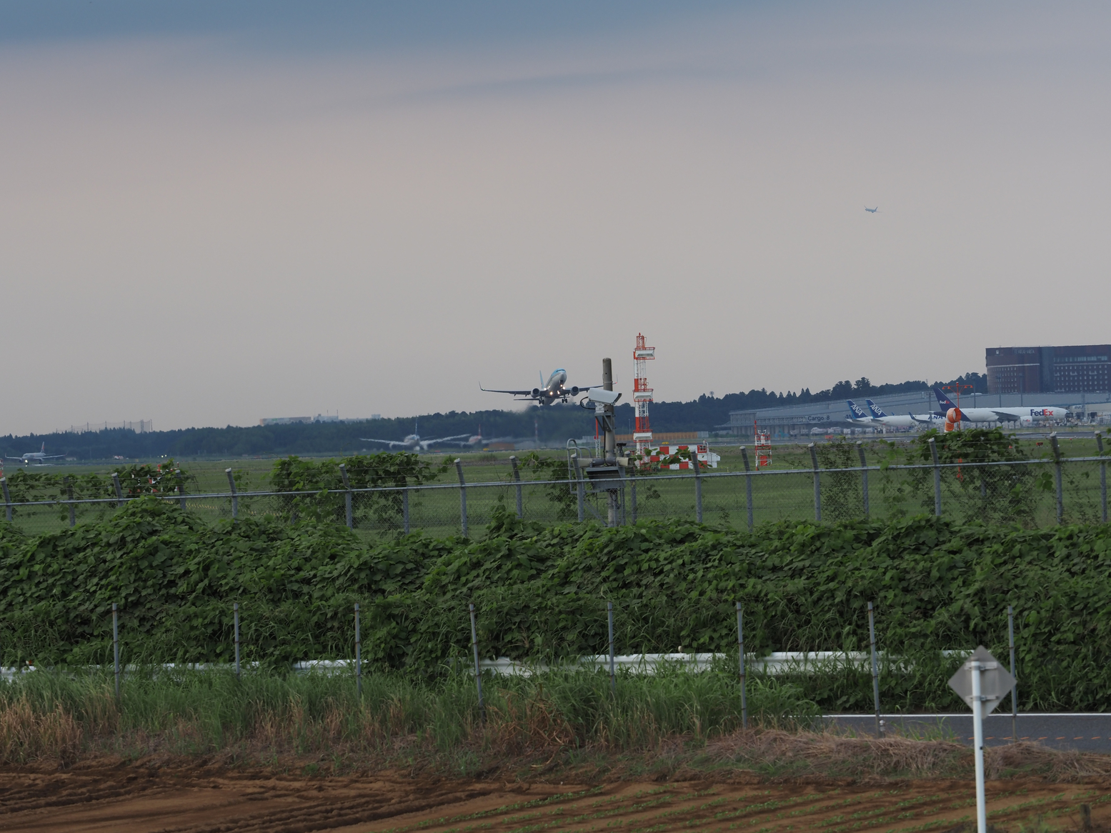 P9081885.jpg