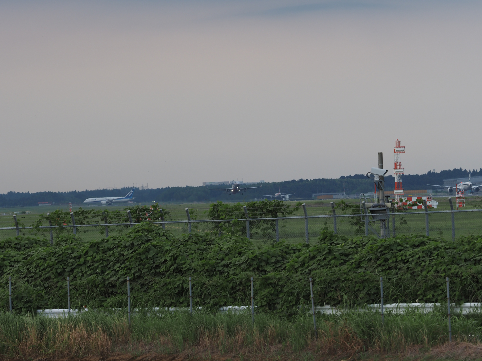 P9081934.jpg