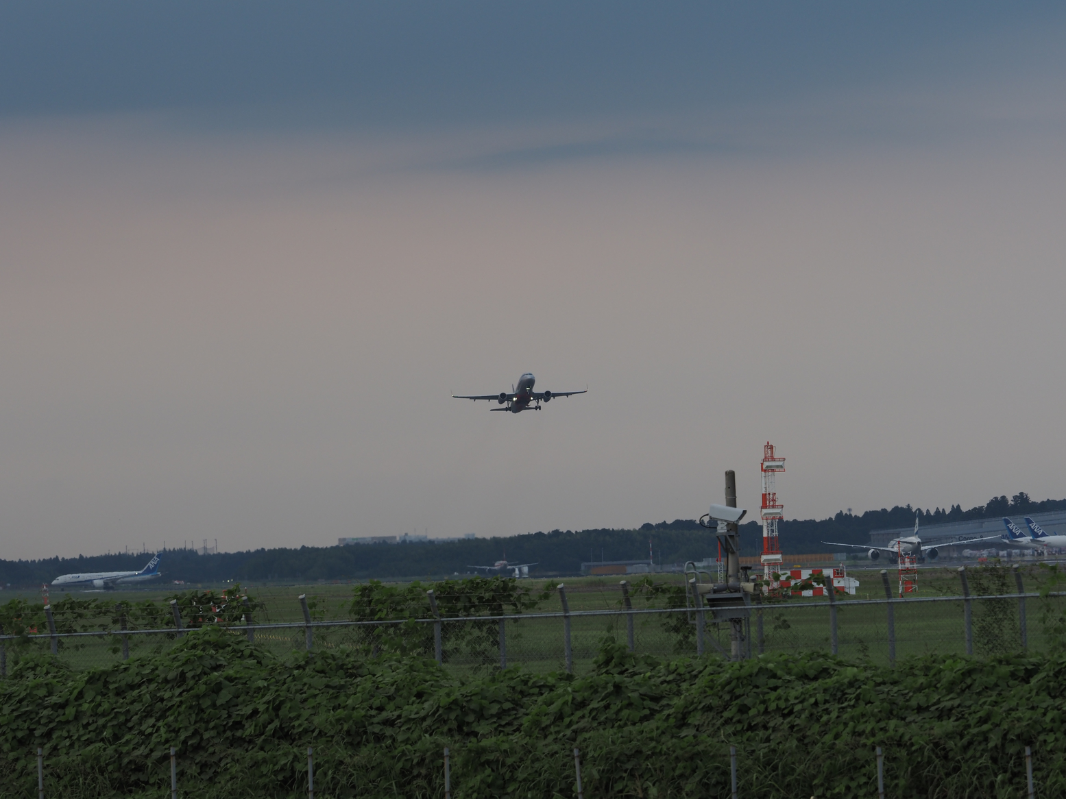 P9081943.jpg