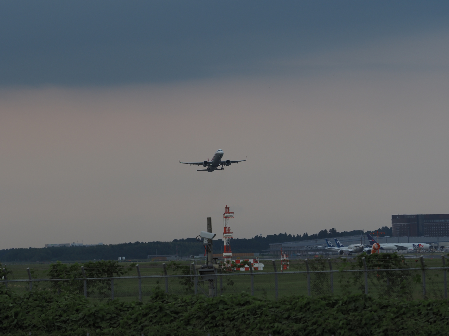 P9082071.jpg