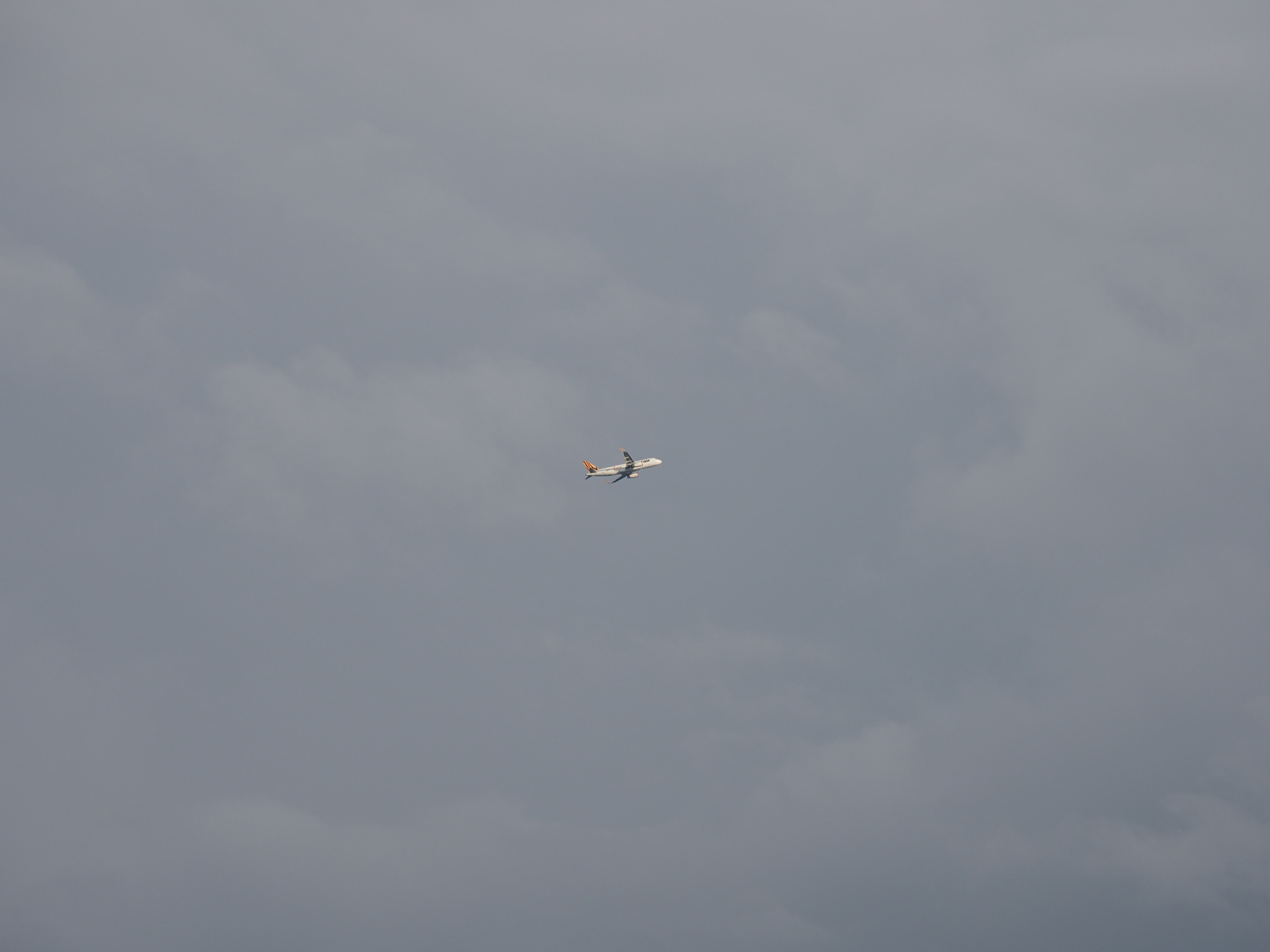 P9132187.jpg