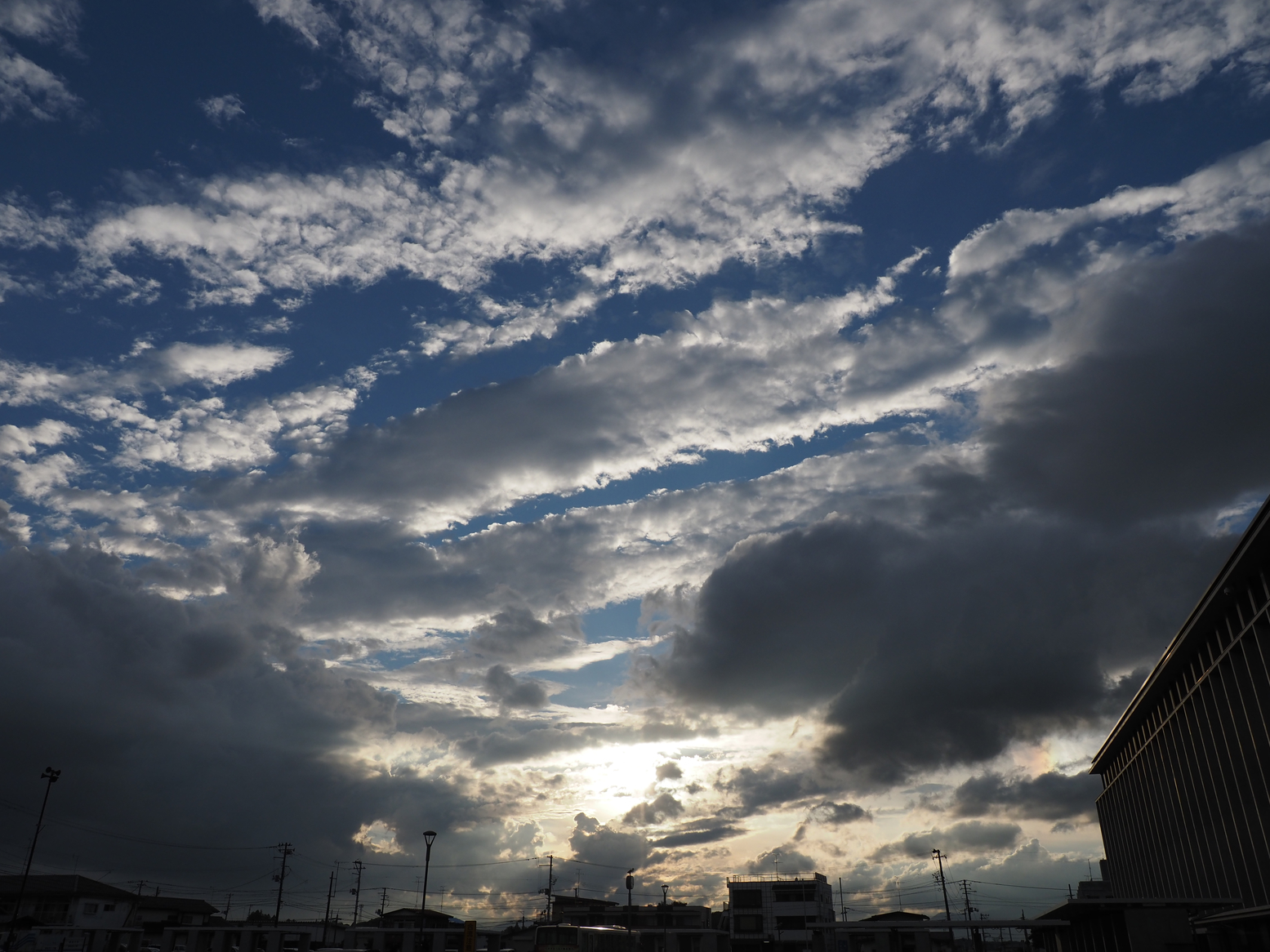 P9132215.jpg