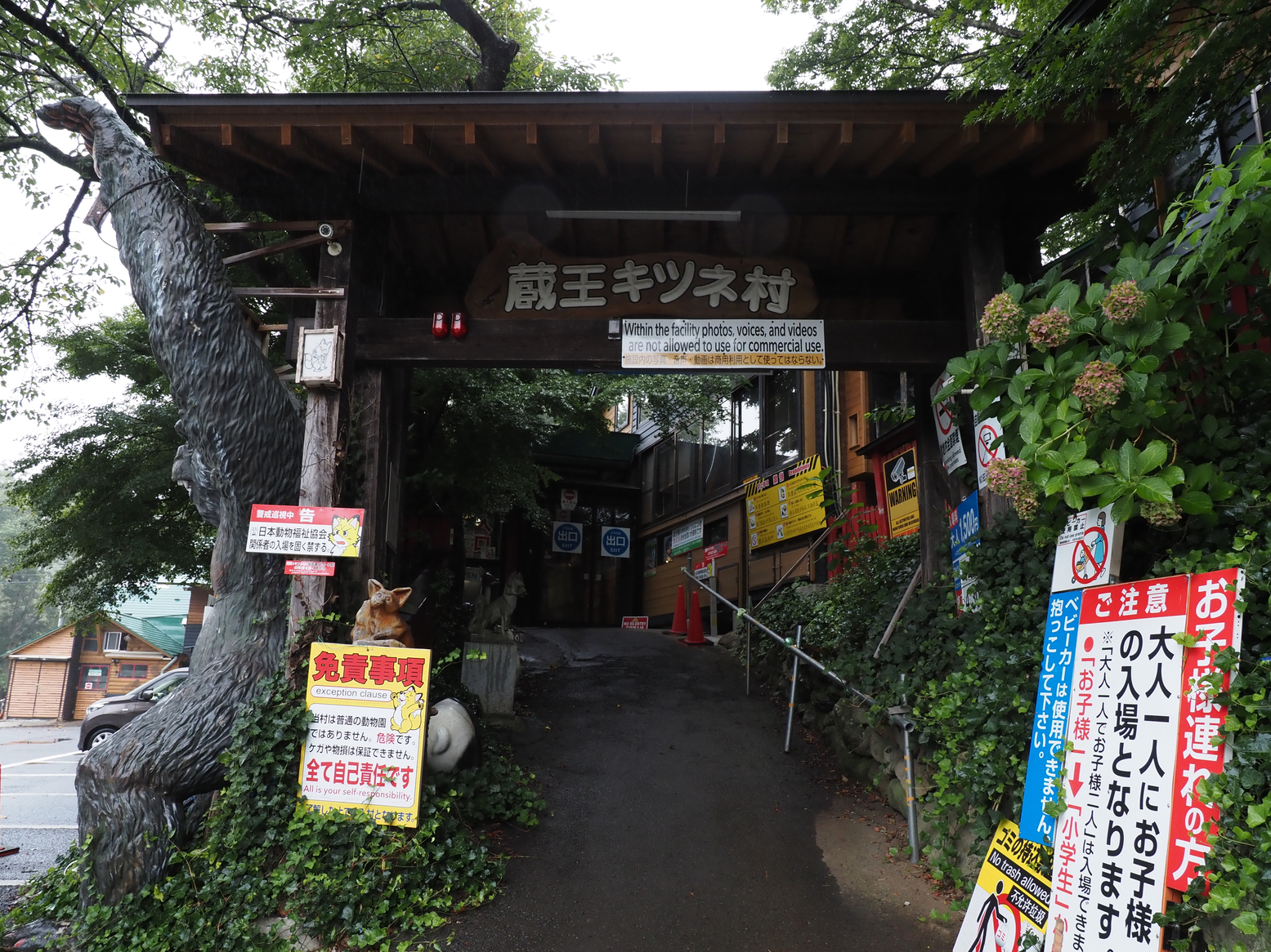 P9142259.jpg