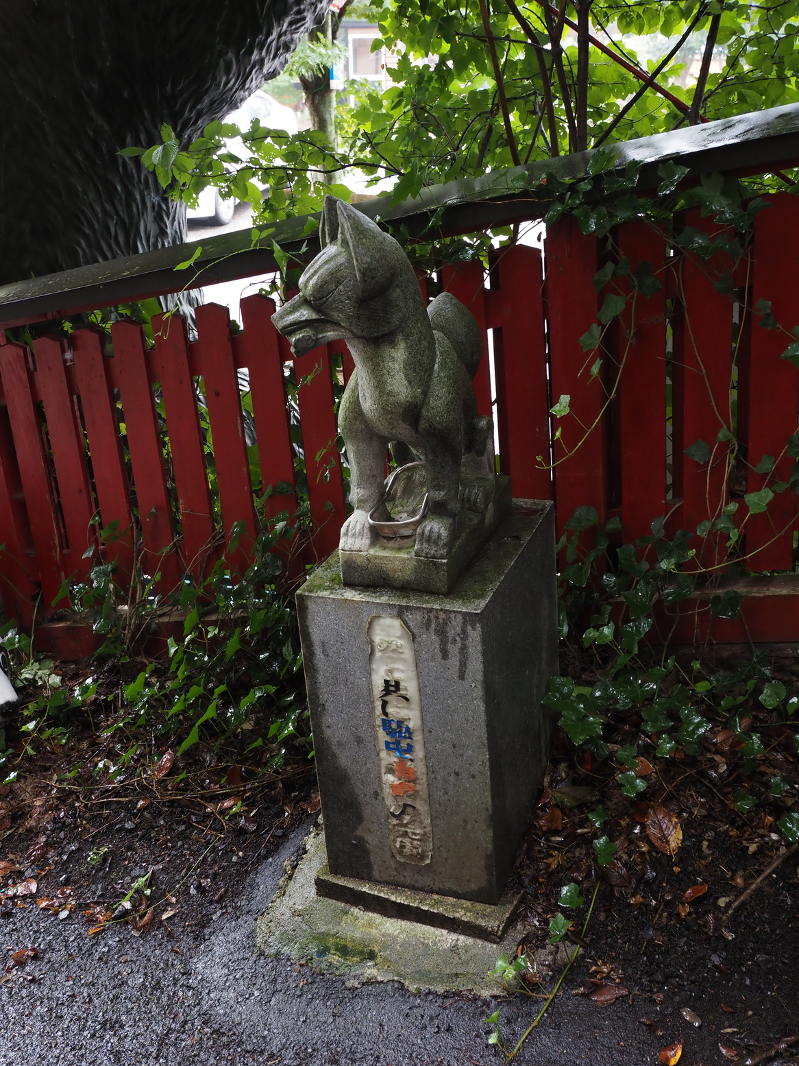 P9142263.jpg