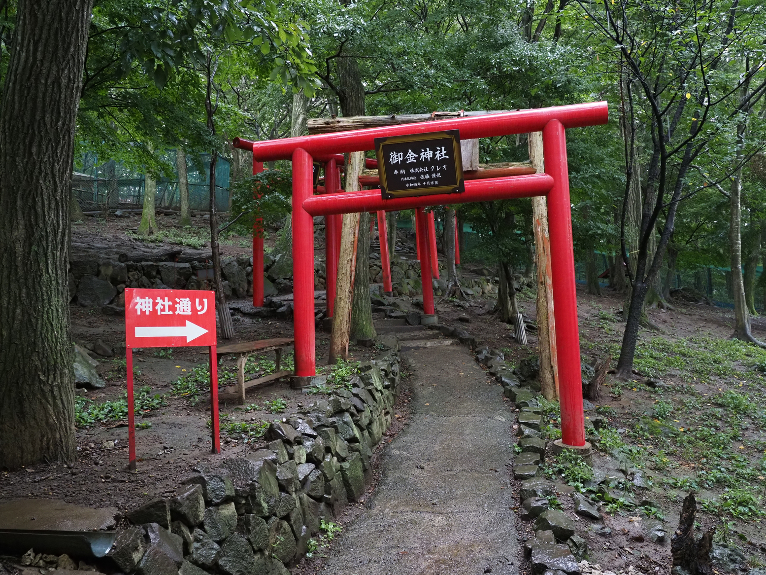 P9142306.jpg