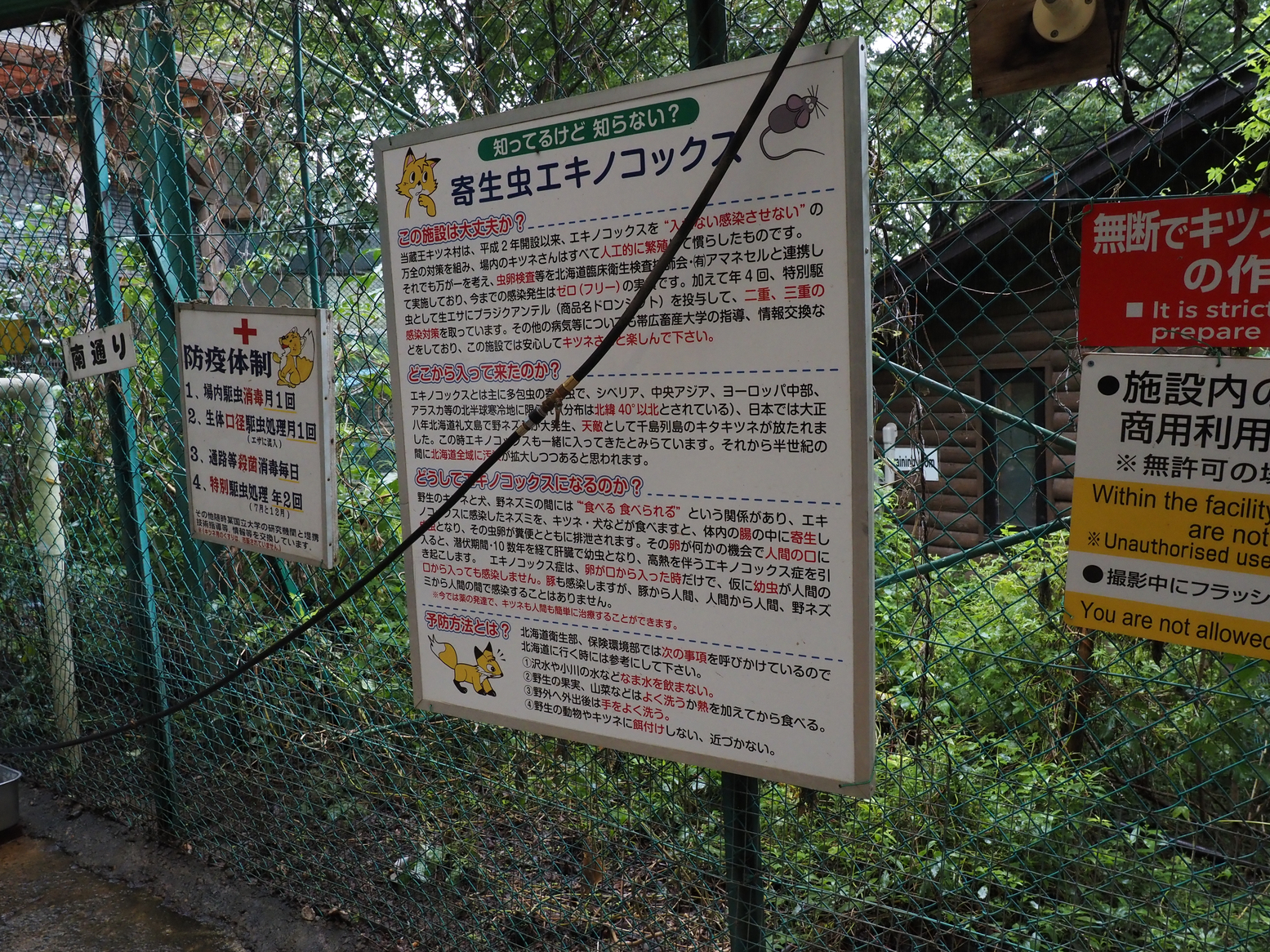 P9142310.jpg