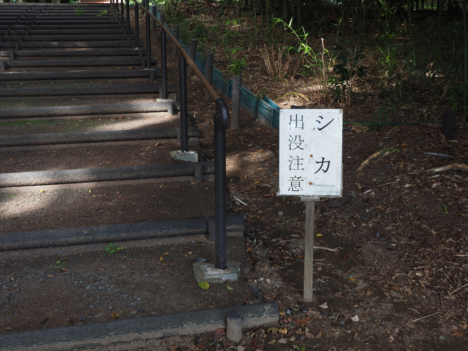 P9261162.jpg