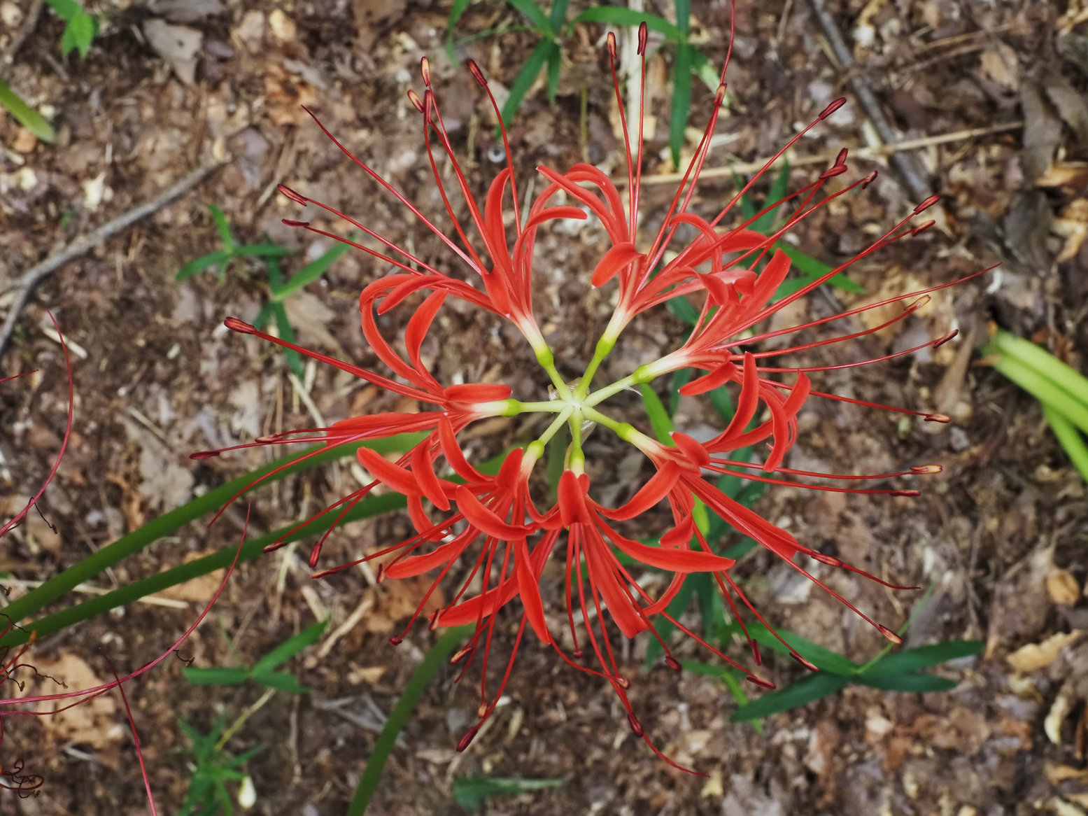 P9261241.jpg