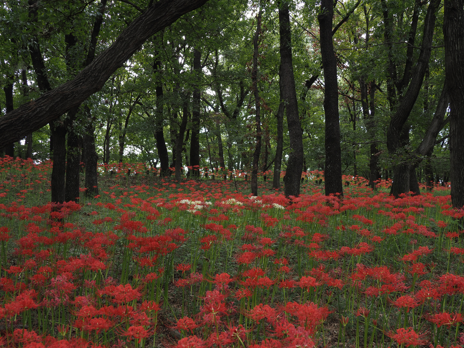 P9261252.jpg