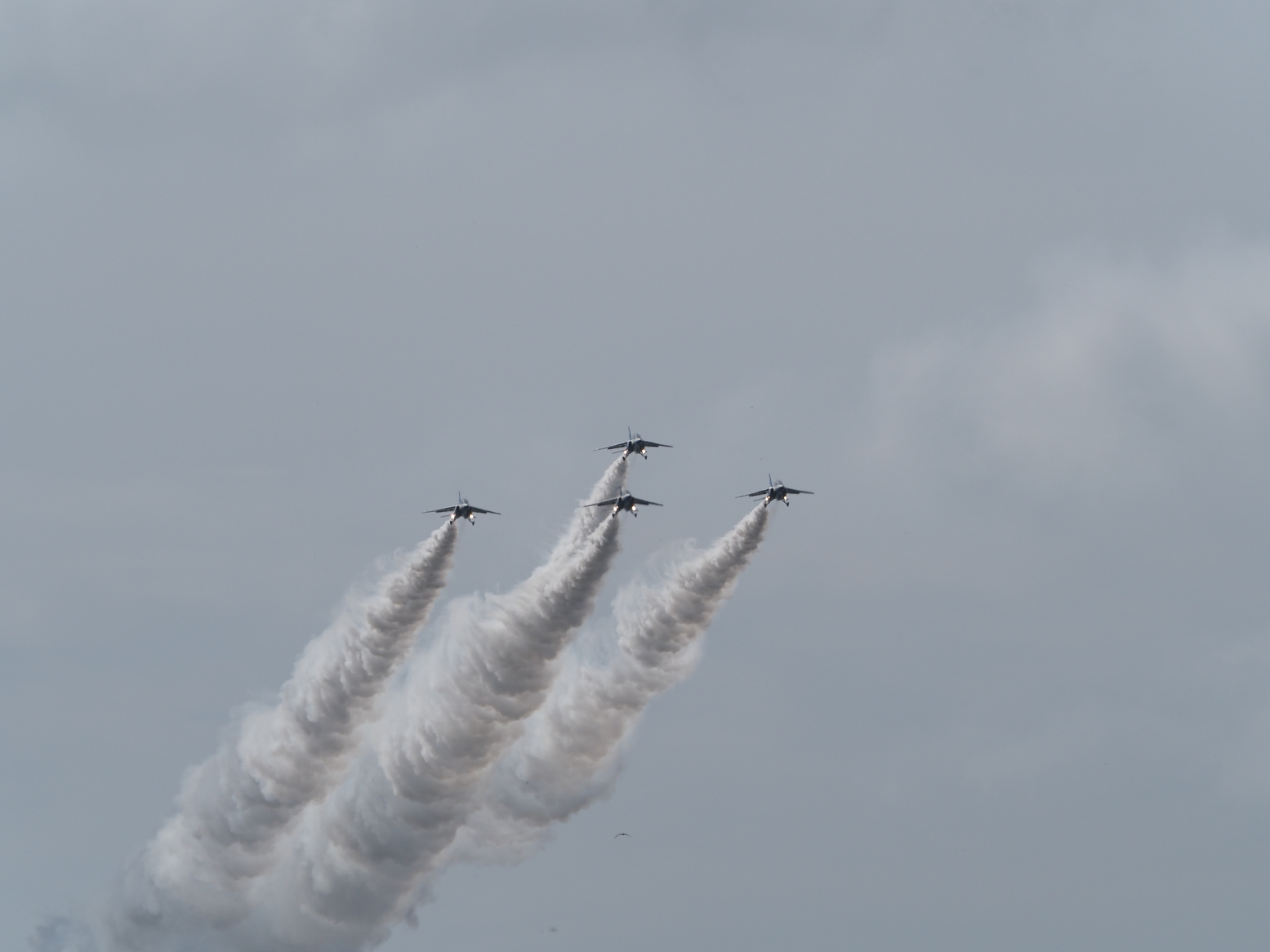 P9270971.jpg