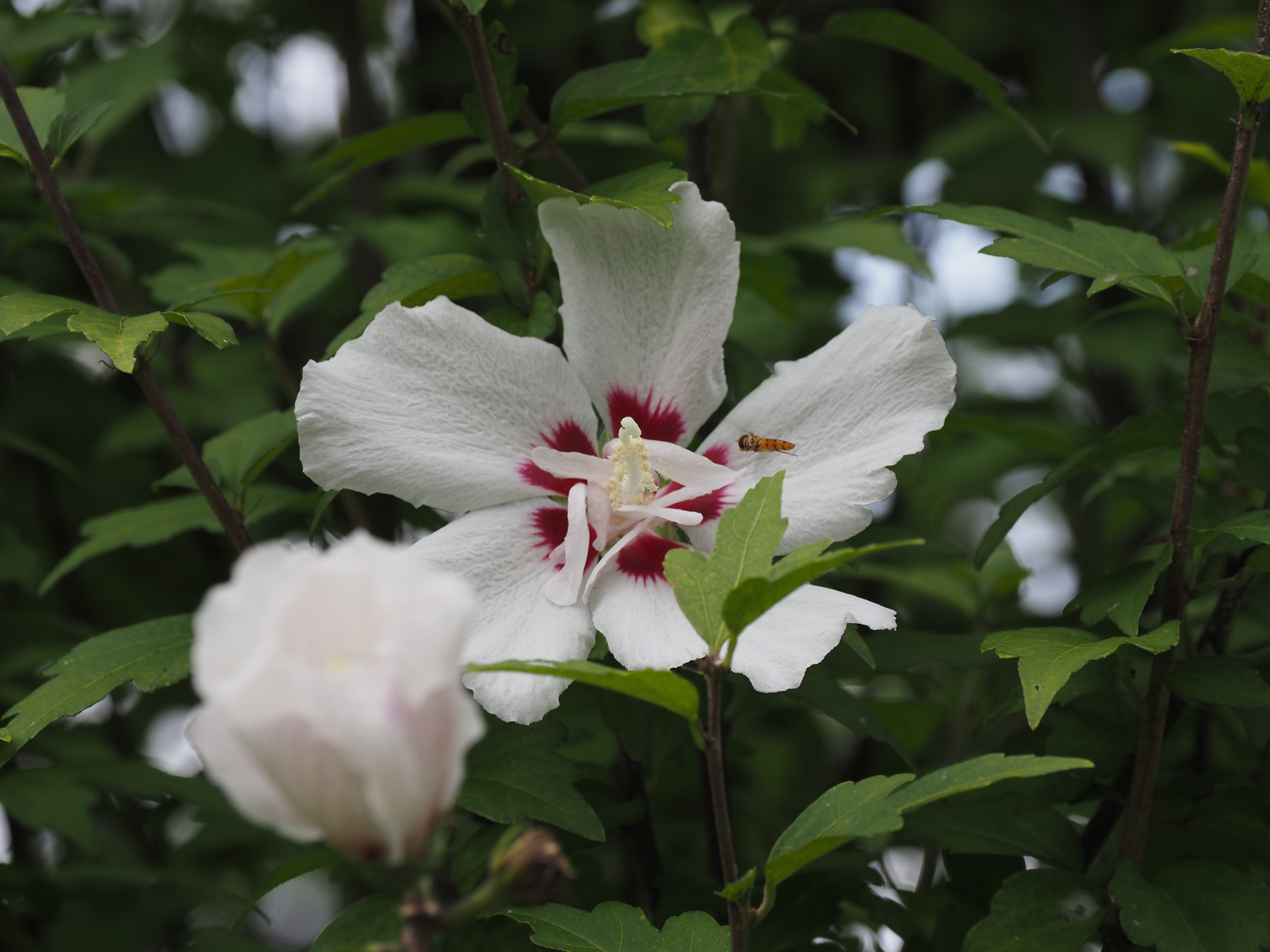 P9271560.jpg