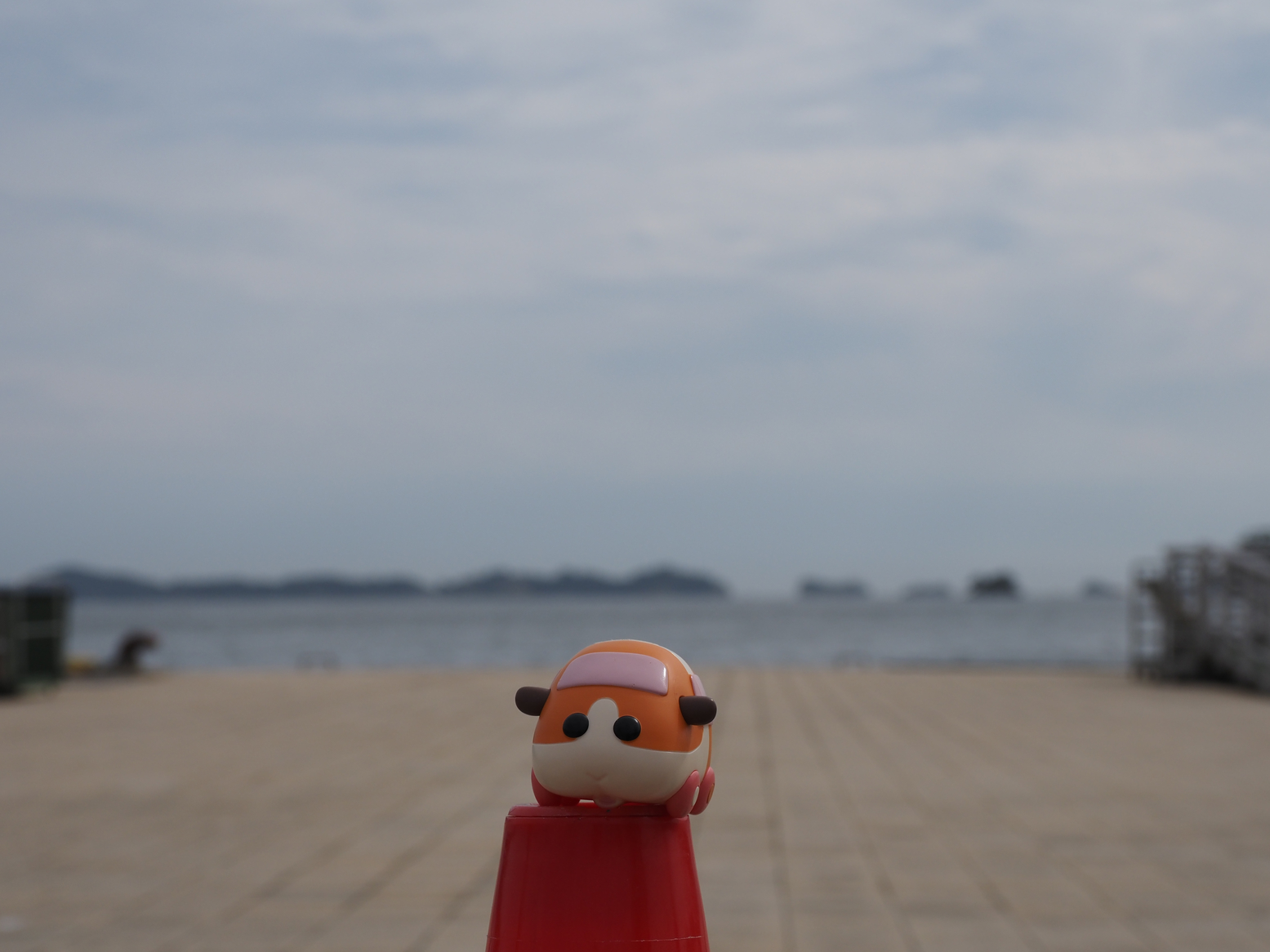 P9271567.jpg