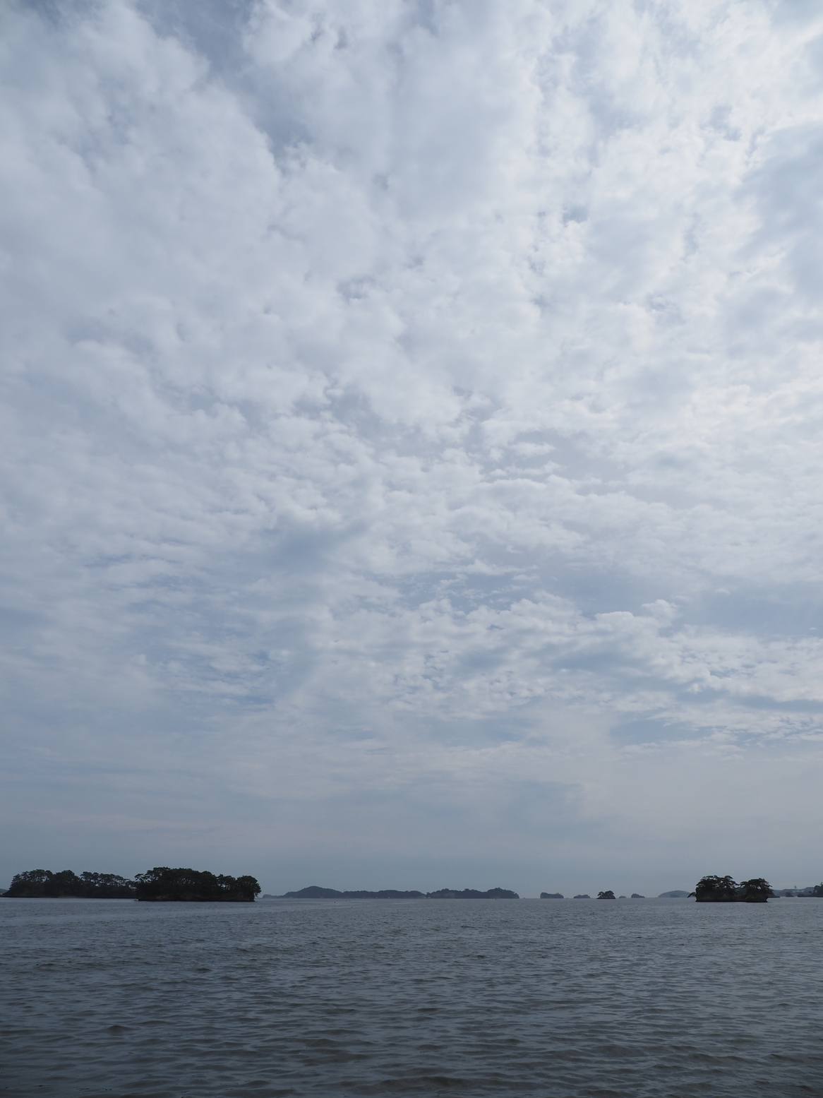 P9271579.jpg