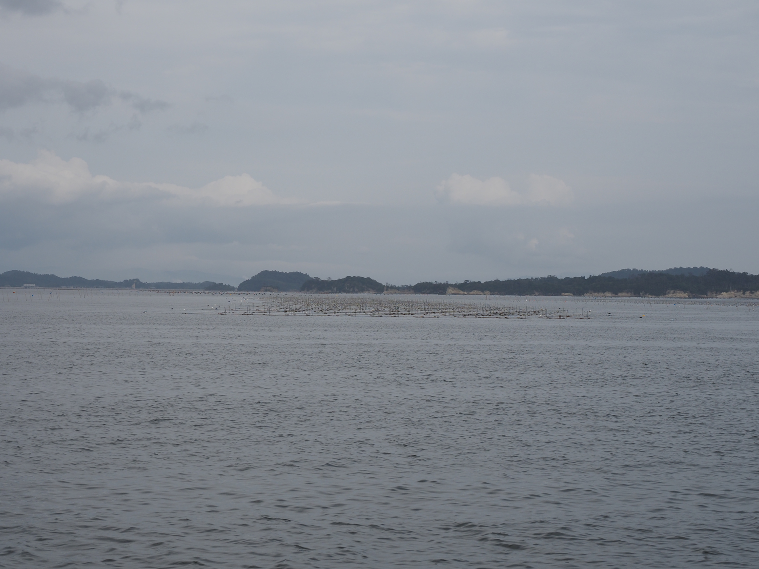 P9271626.jpg