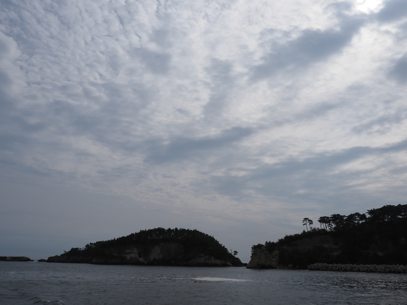 P9271688.jpg