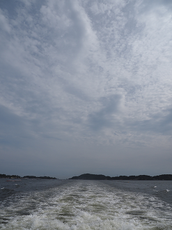P9271715_thumb.png