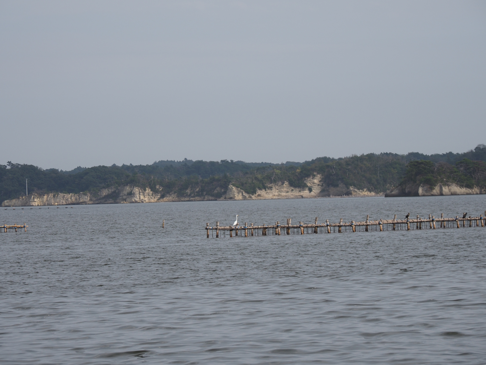 P9271716.jpg