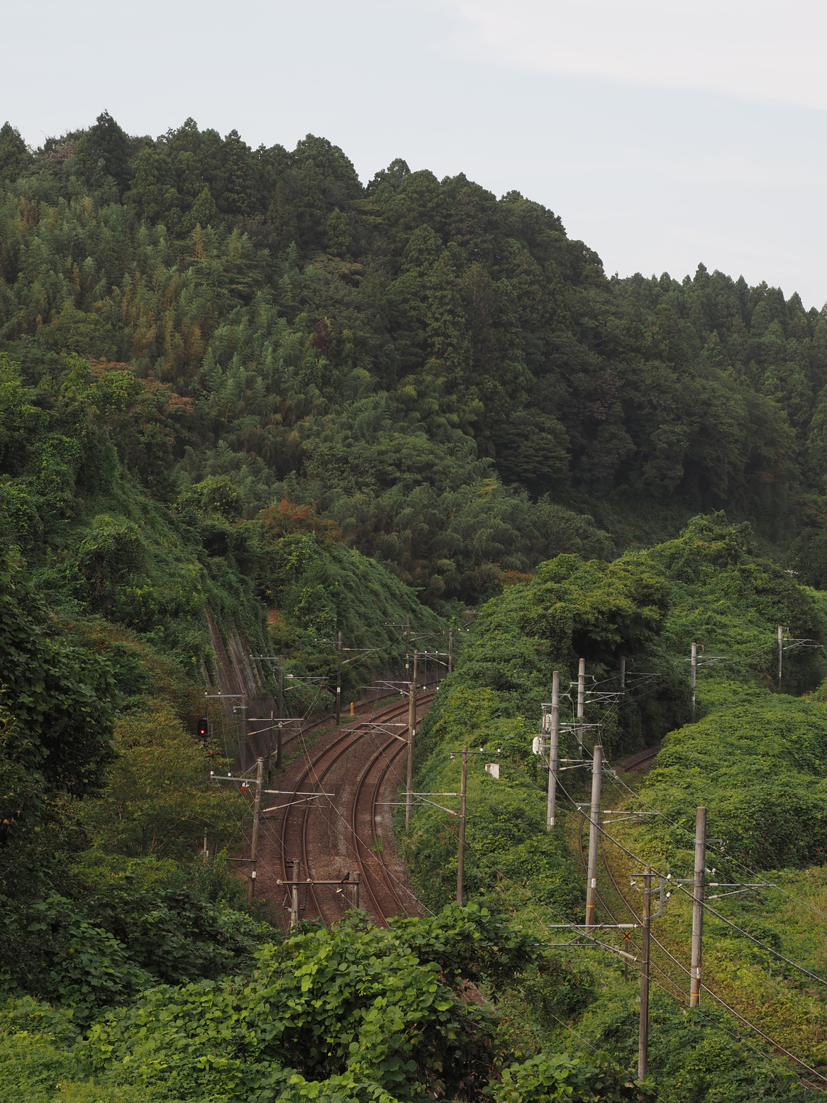 P9271761.jpg
