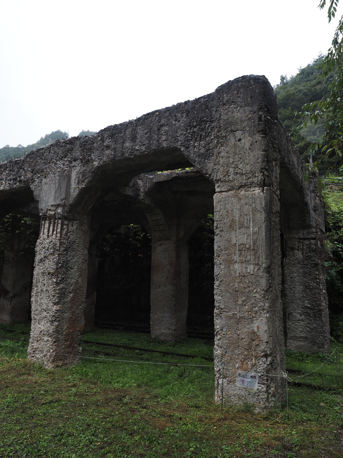 PA050006.jpg