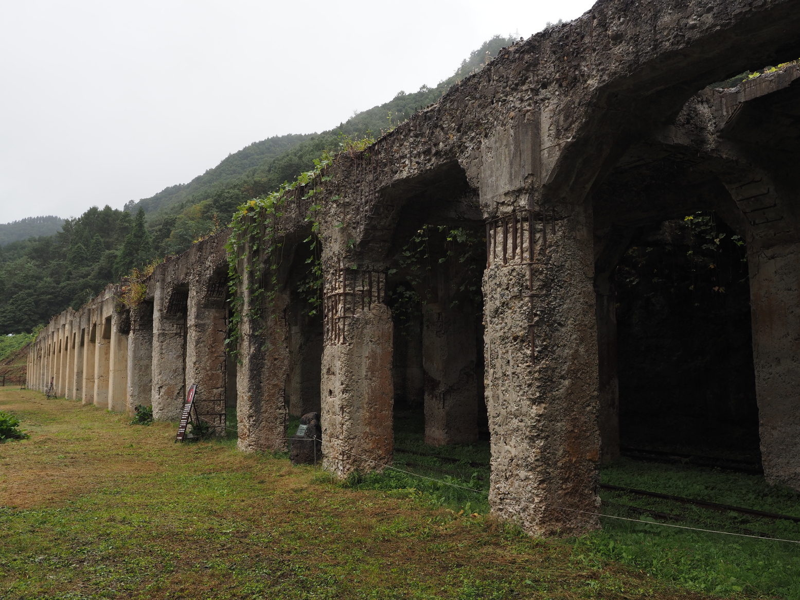 PA050007.jpg