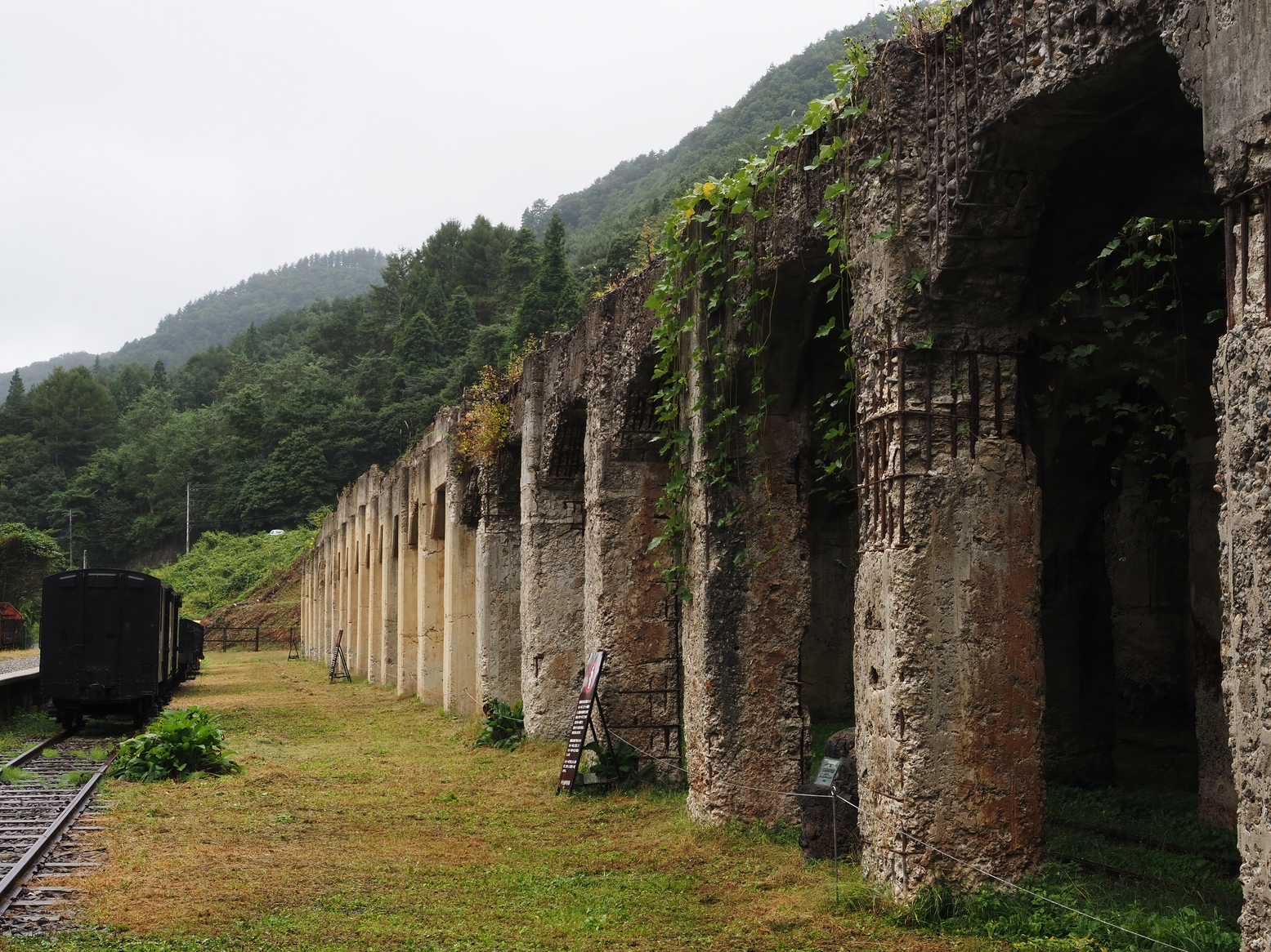 PA050010.jpg