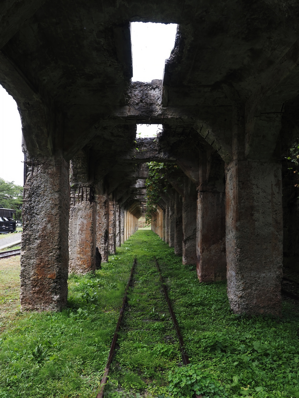 PA050012.jpg