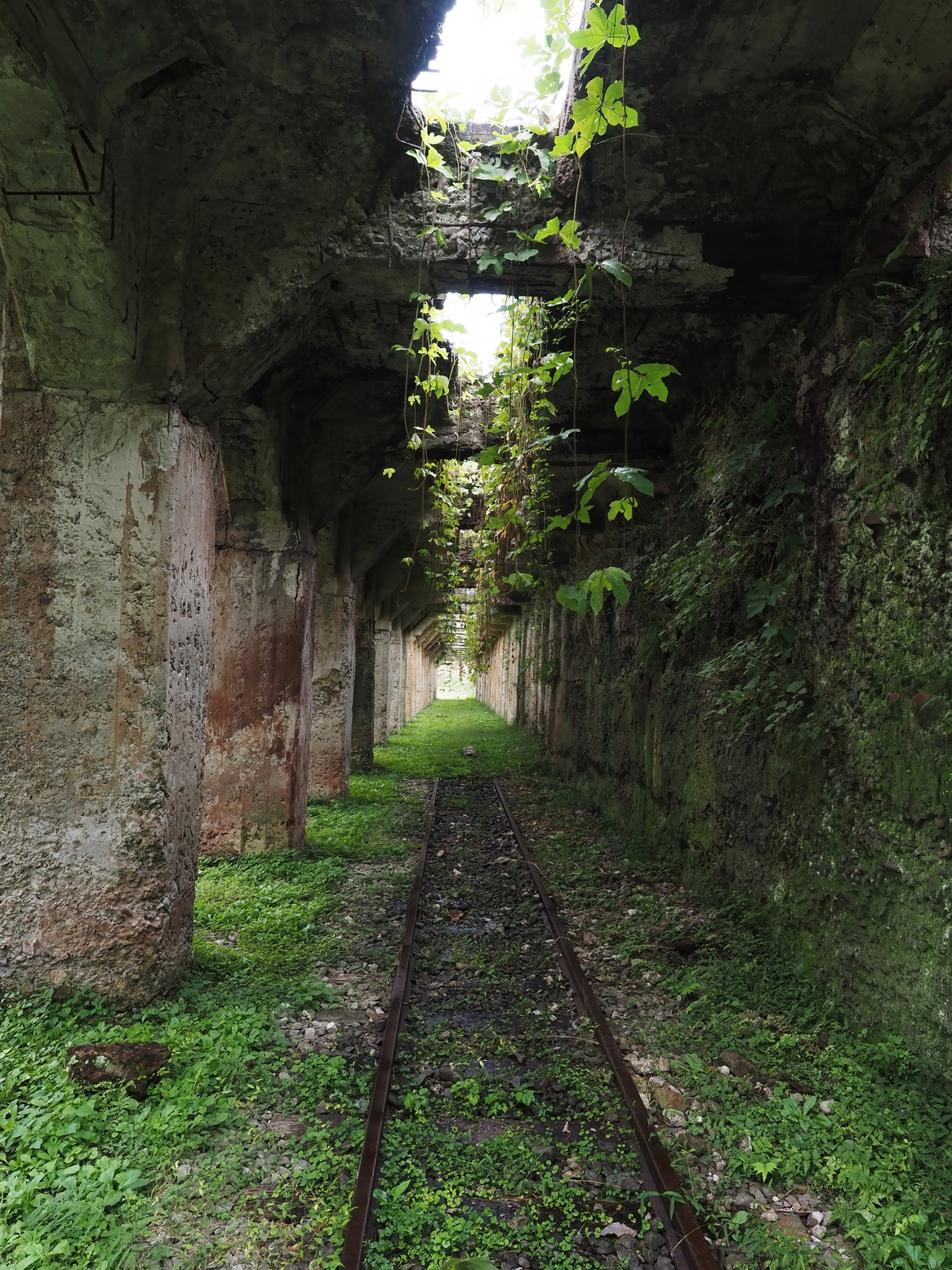 PA050013.jpg