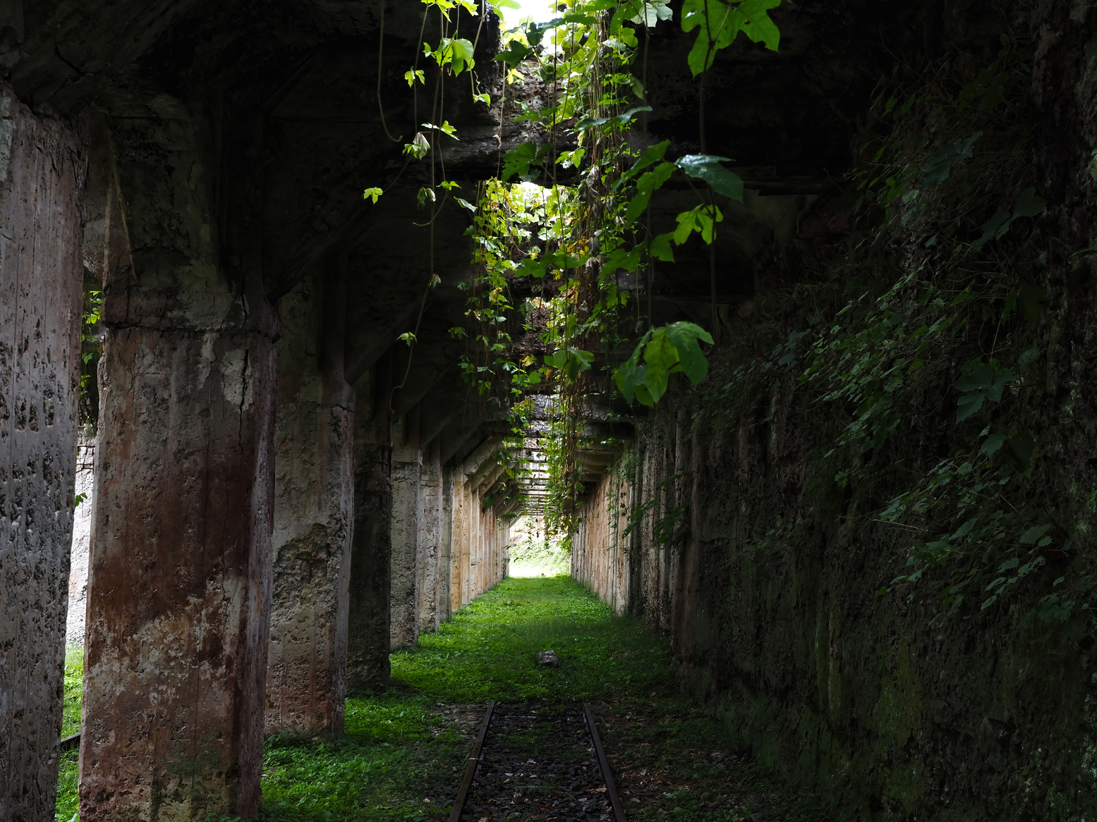 PA050016.jpg