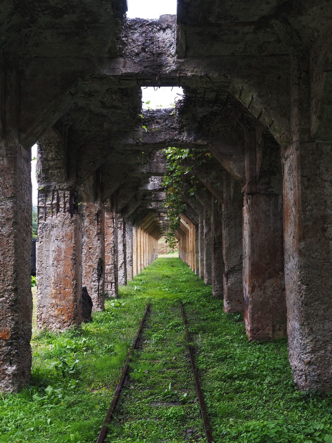 PA050021.jpg
