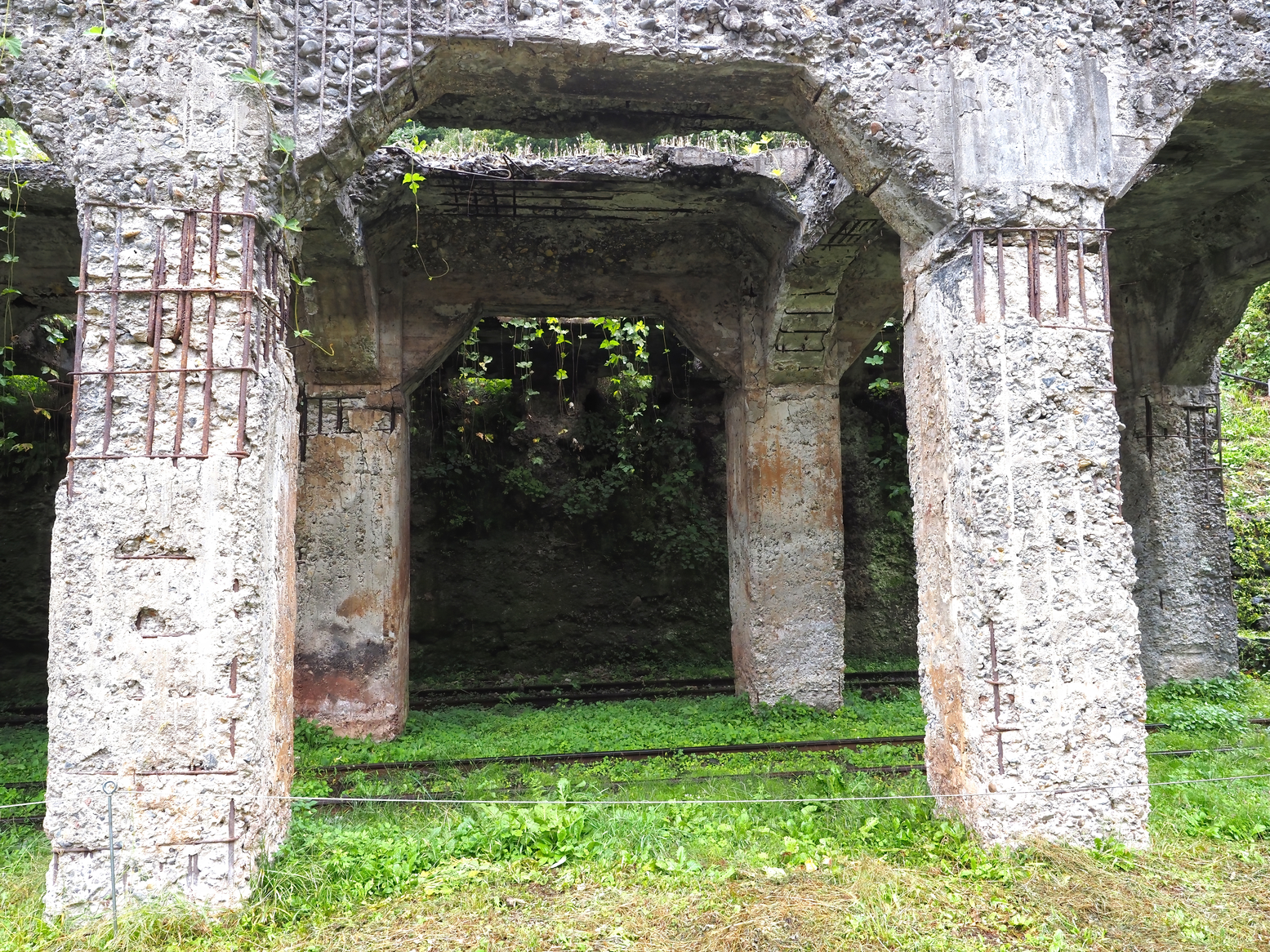 PA050031.jpg