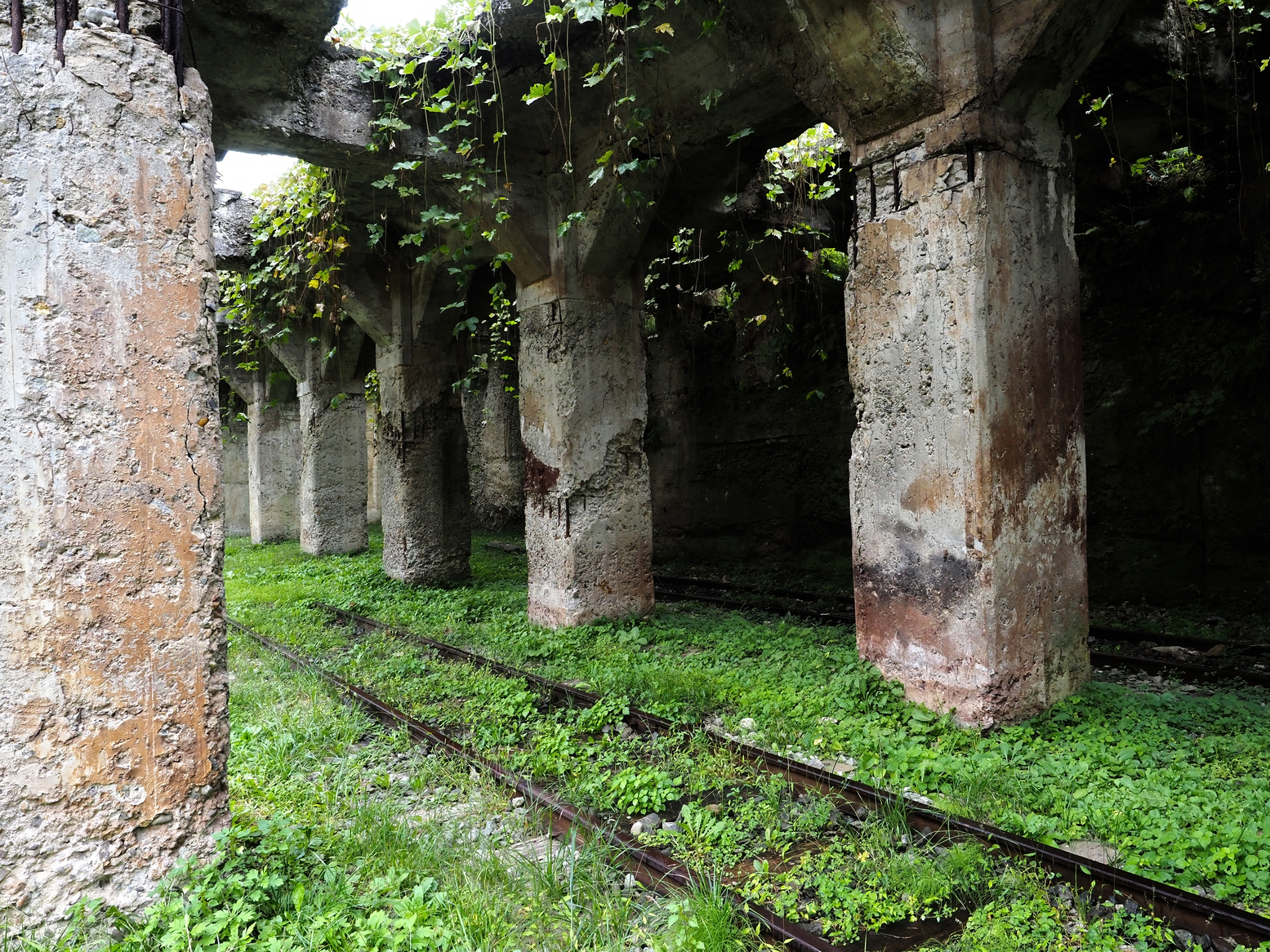 PA050033.jpg