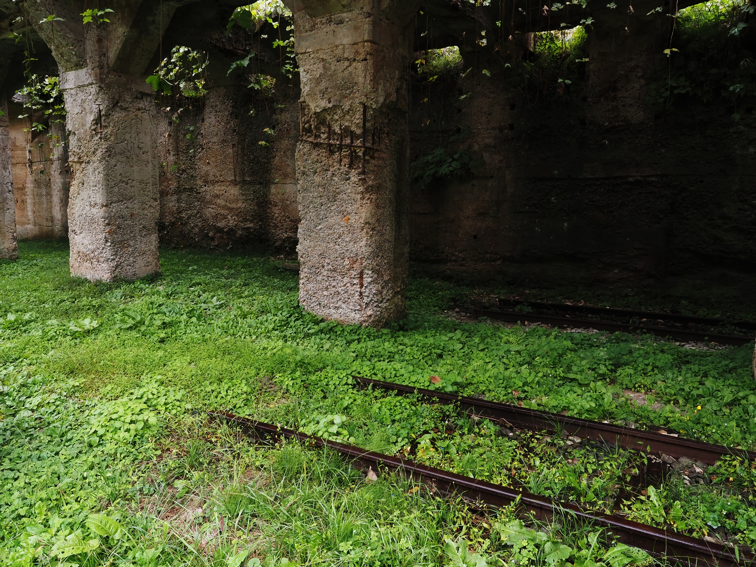 PA050034.jpg