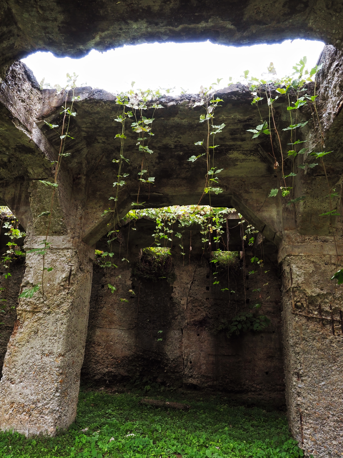 PA050036.jpg