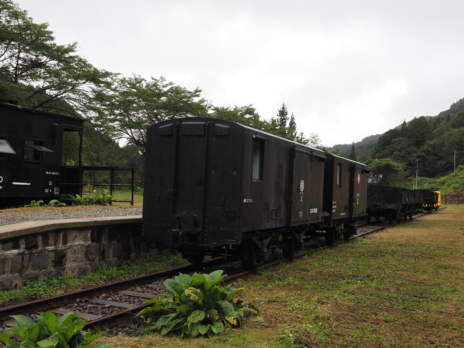 PA050040.jpg