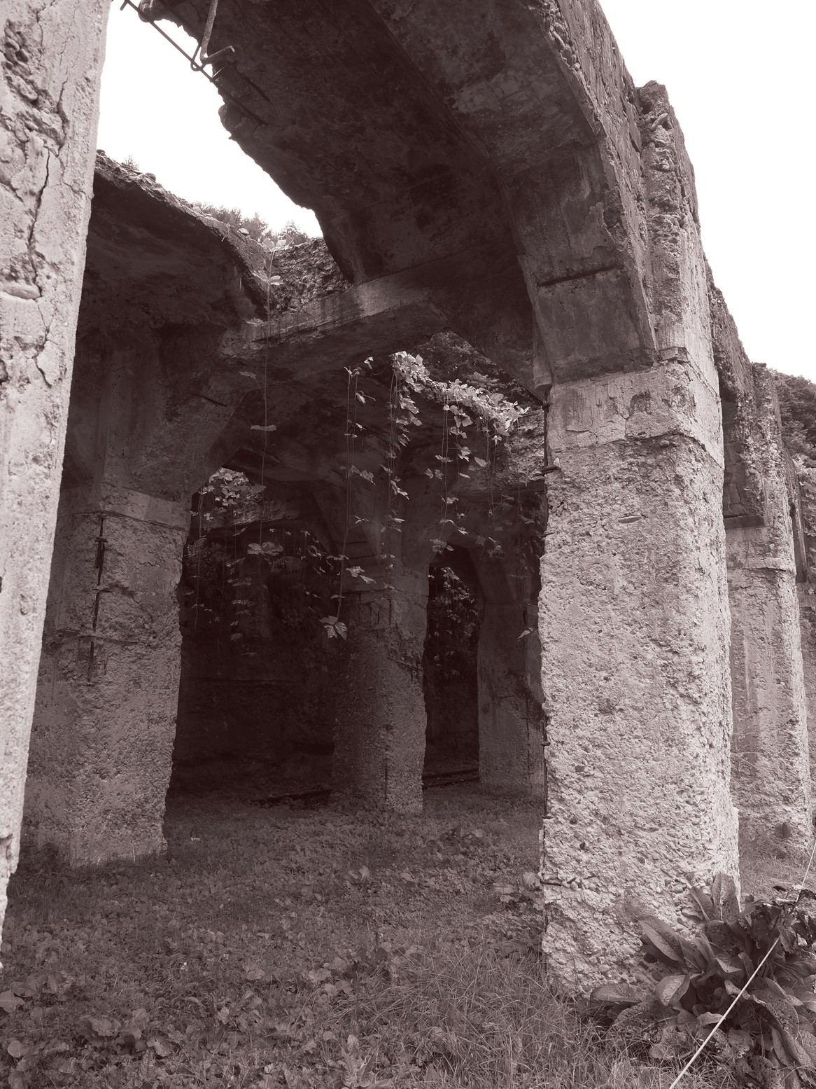 PA050041.jpg