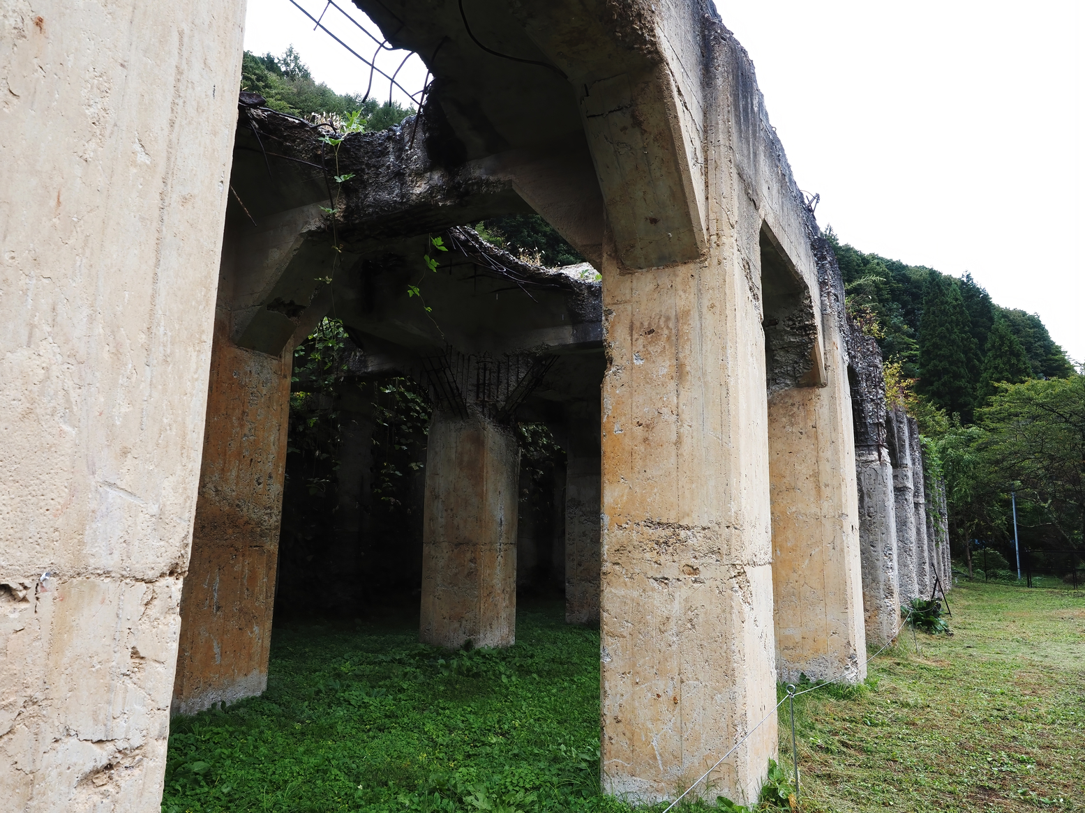 PA050044.jpg