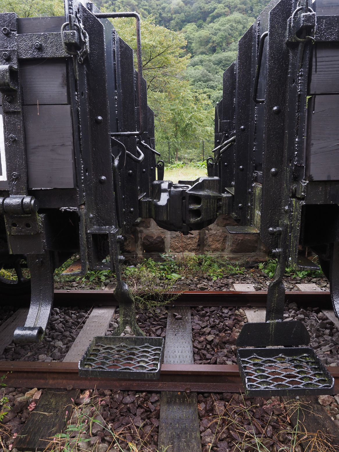 PA050054.jpg