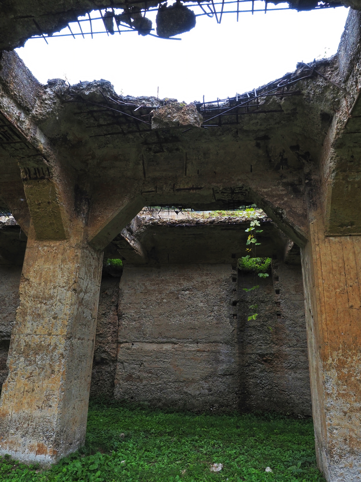 PA050059.jpg