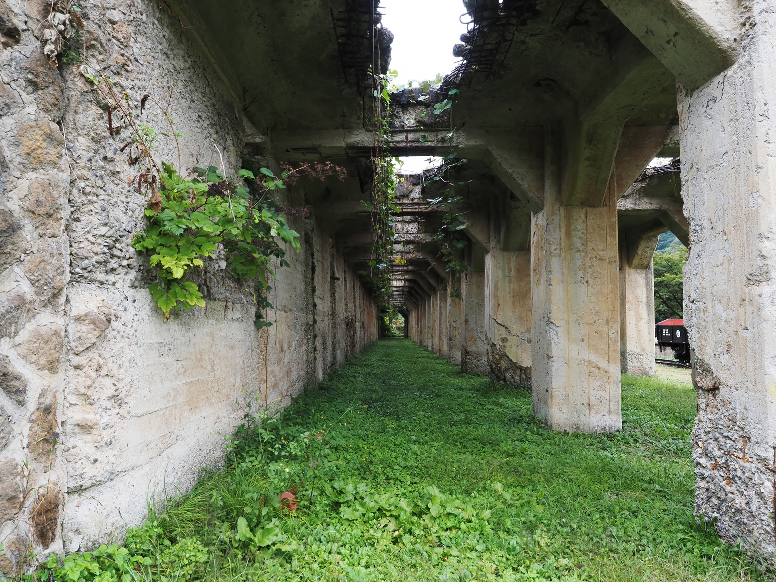 PA050063.jpg