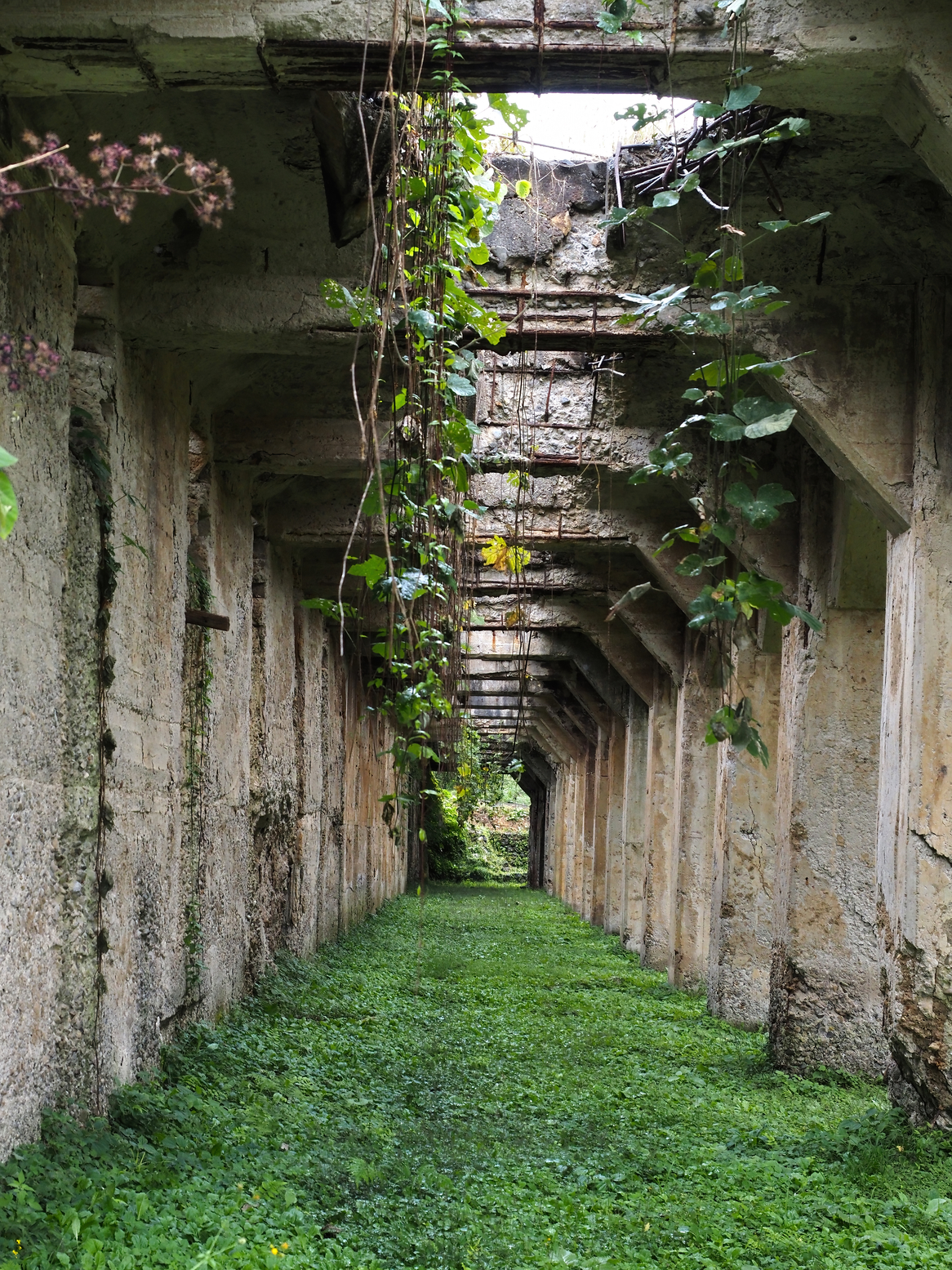 PA050065.jpg