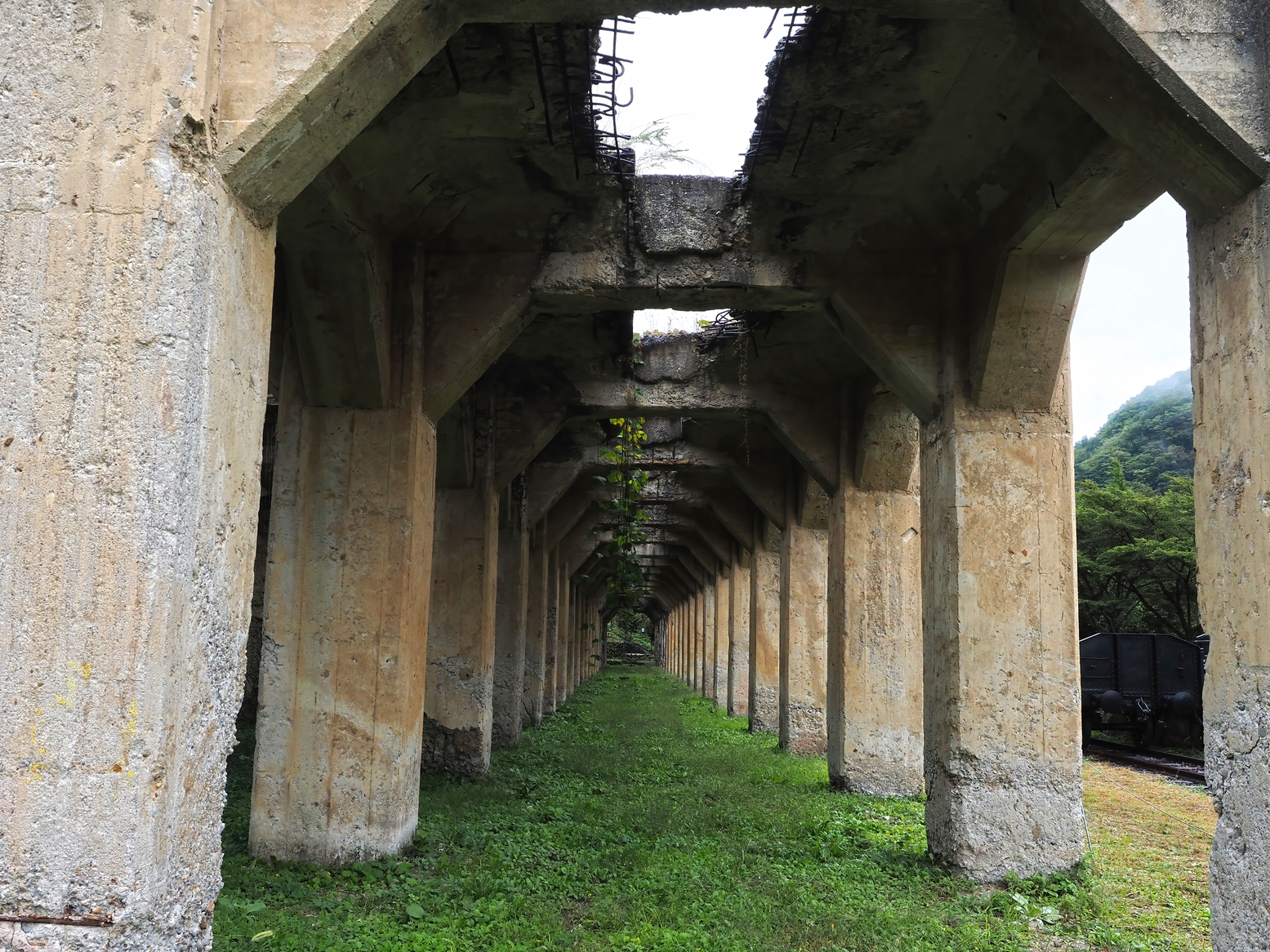 PA050068.jpg