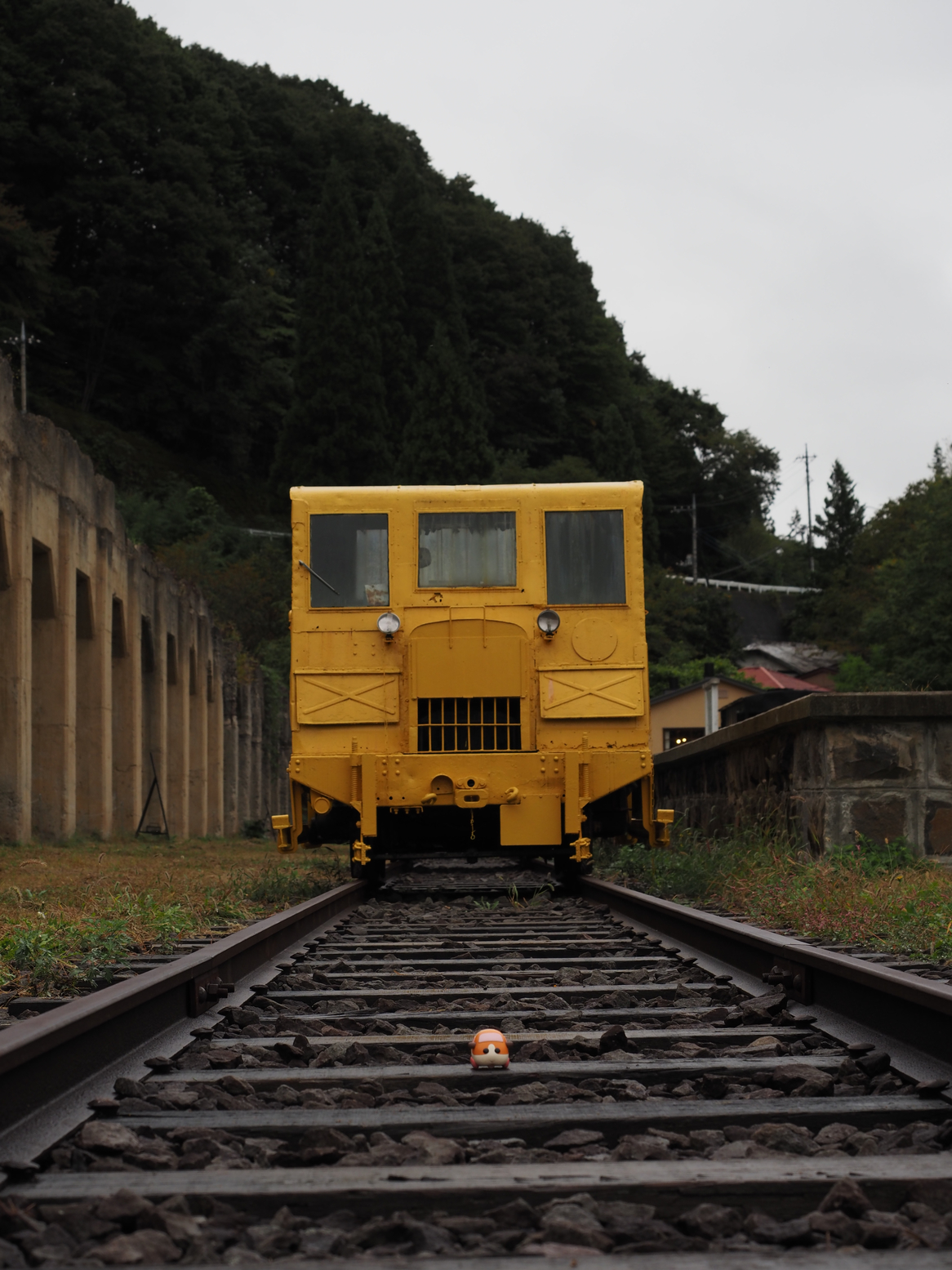 PA050071.jpg