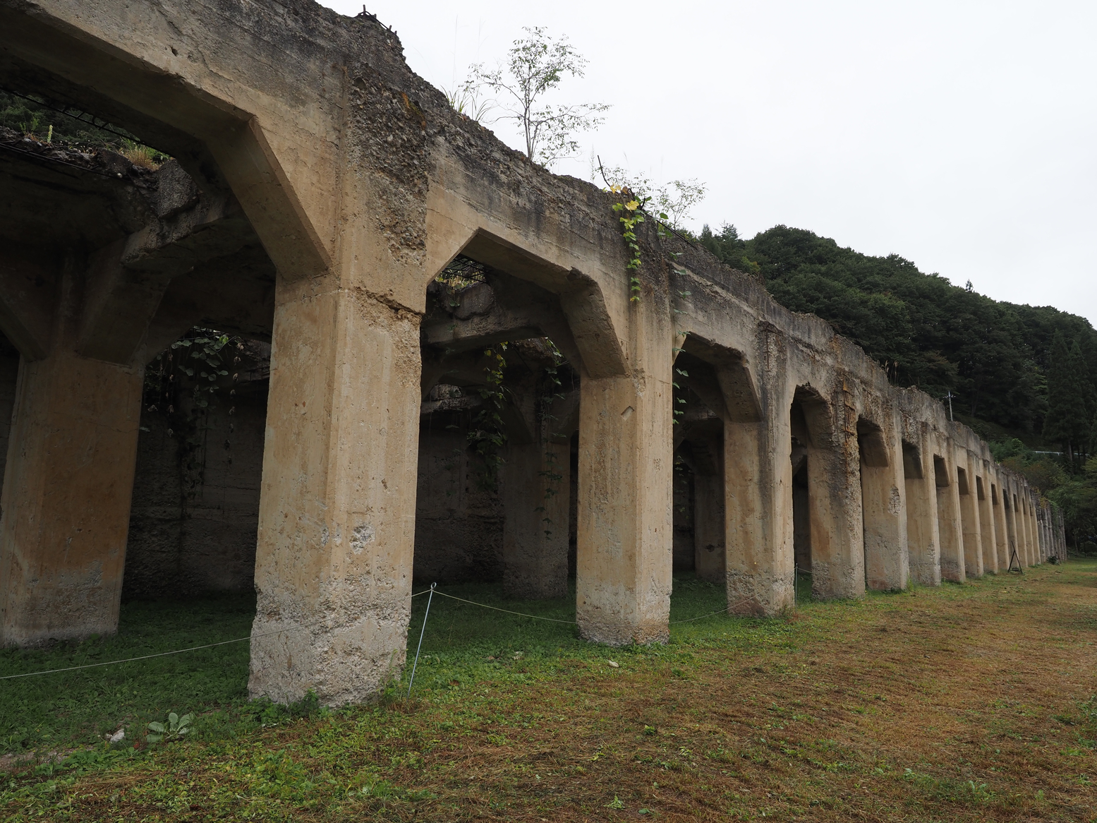 PA050079.jpg