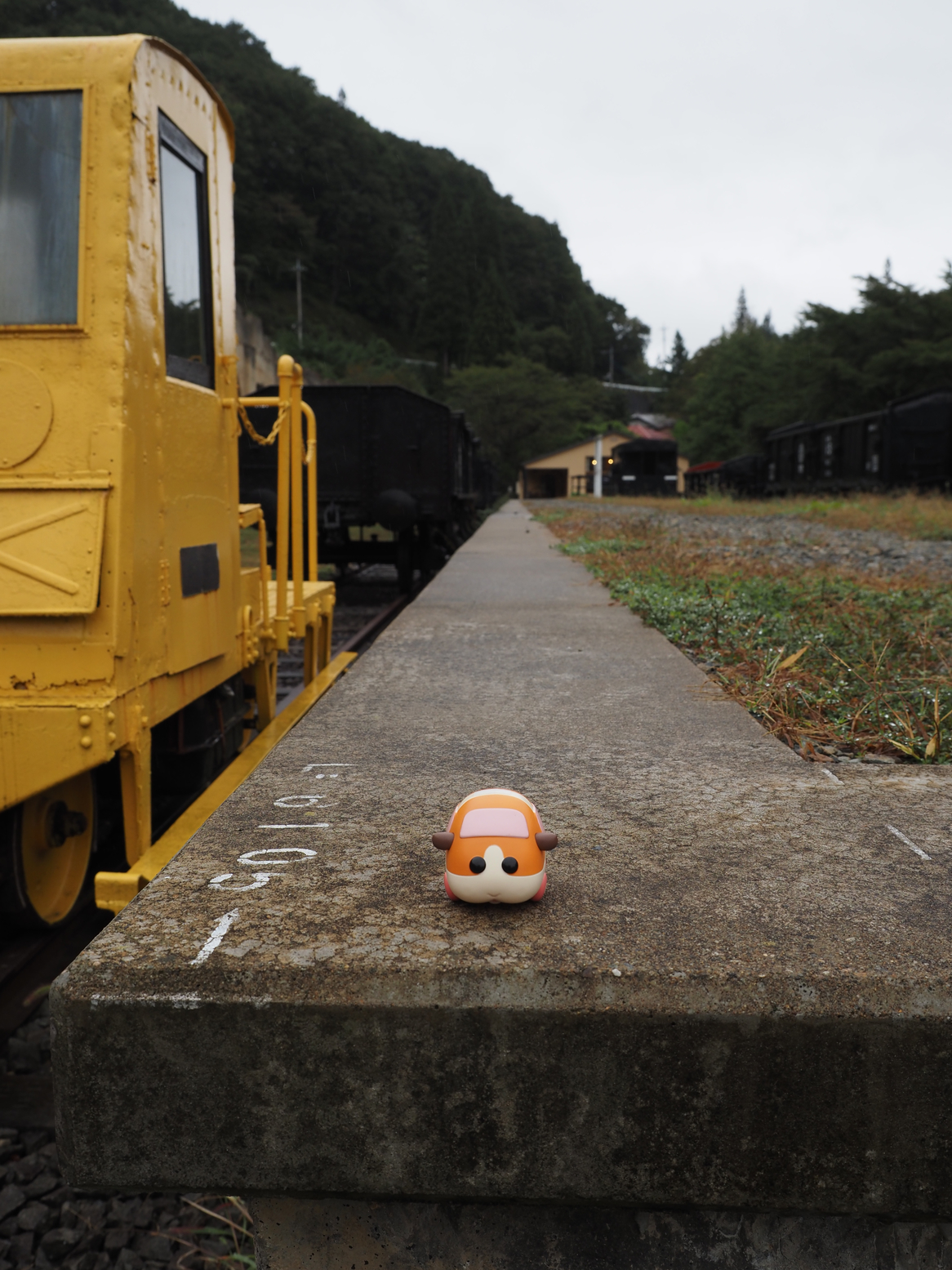 PA050094.jpg