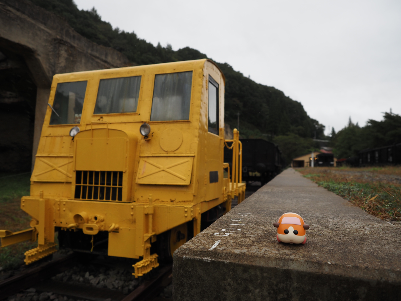 PA050096.jpg