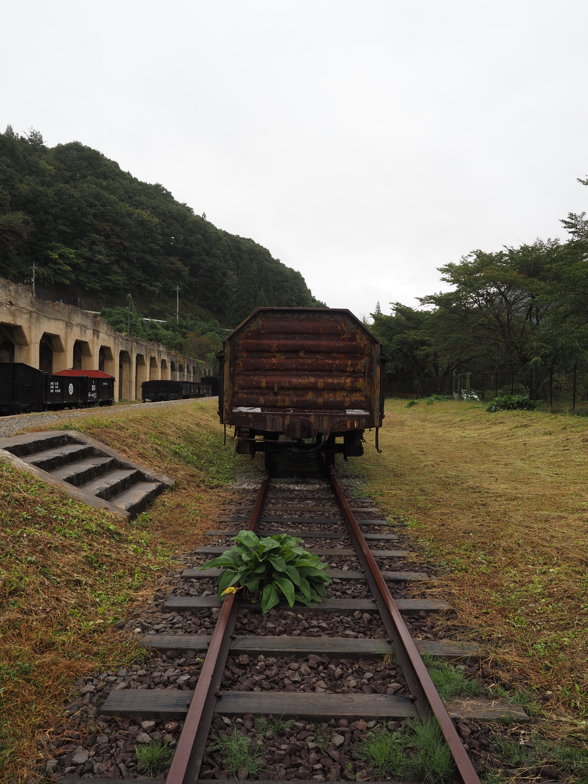 PA050102.jpg