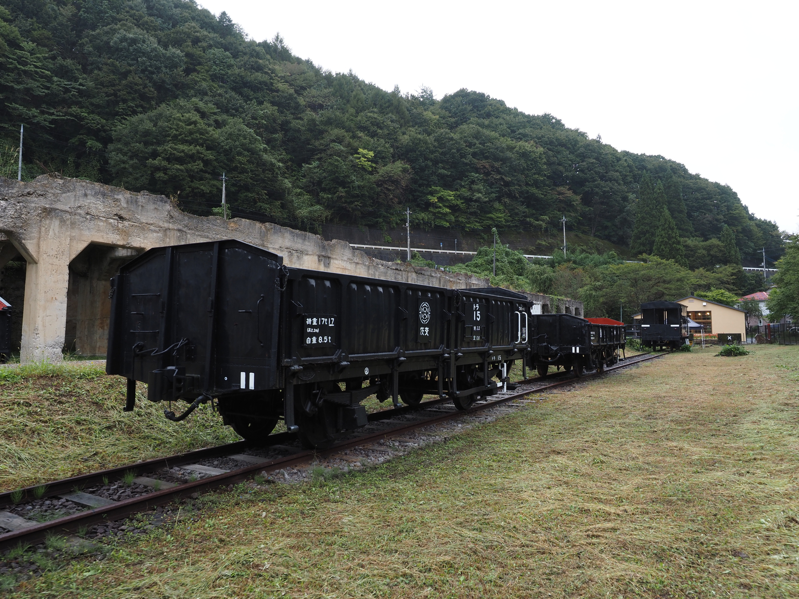 PA050106.jpg