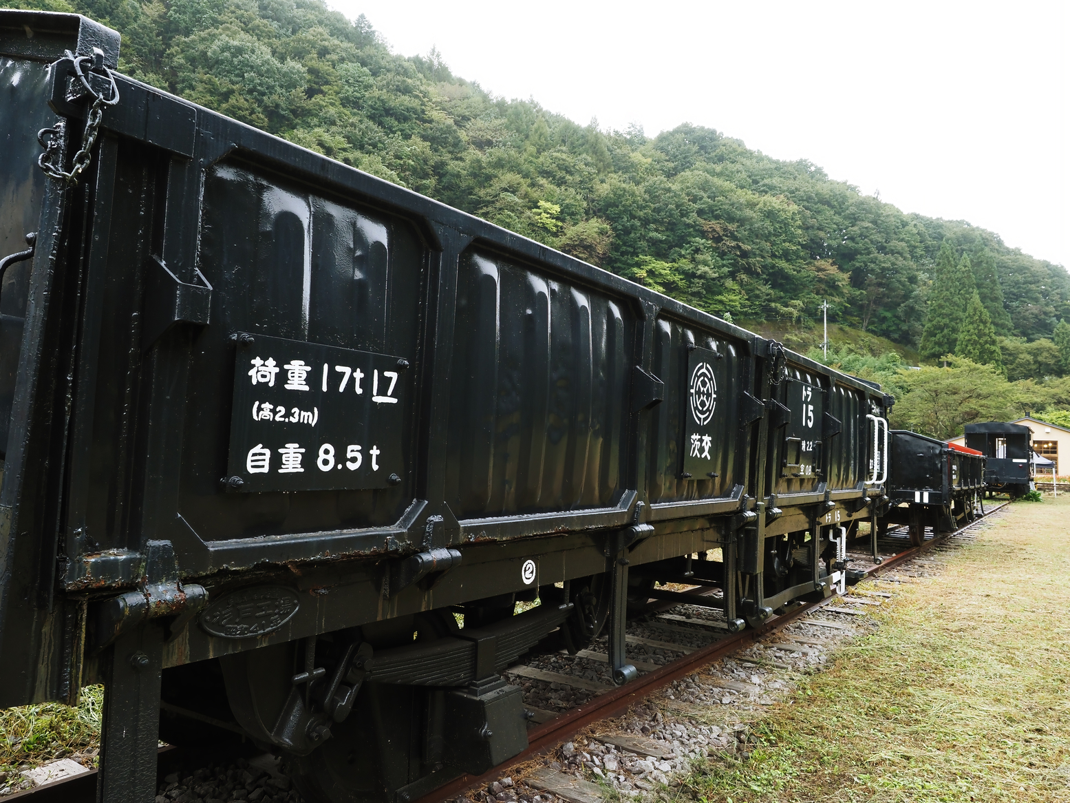 PA050109.jpg