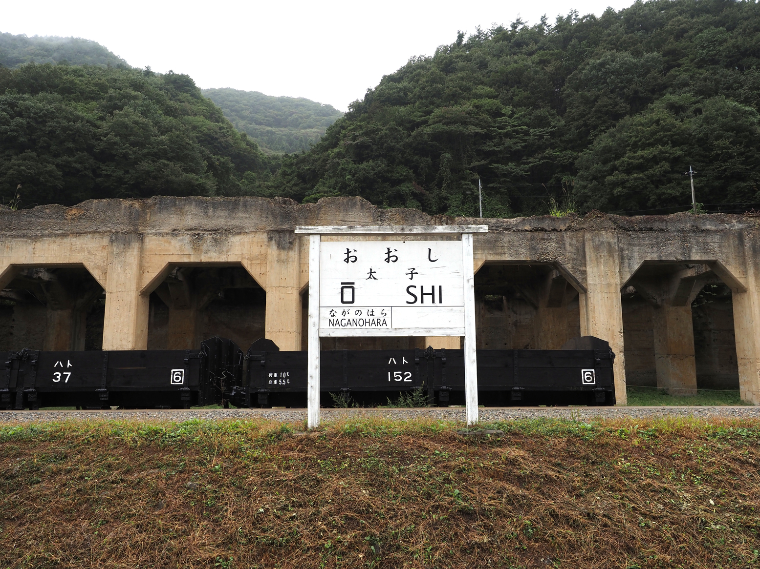 PA050111.jpg