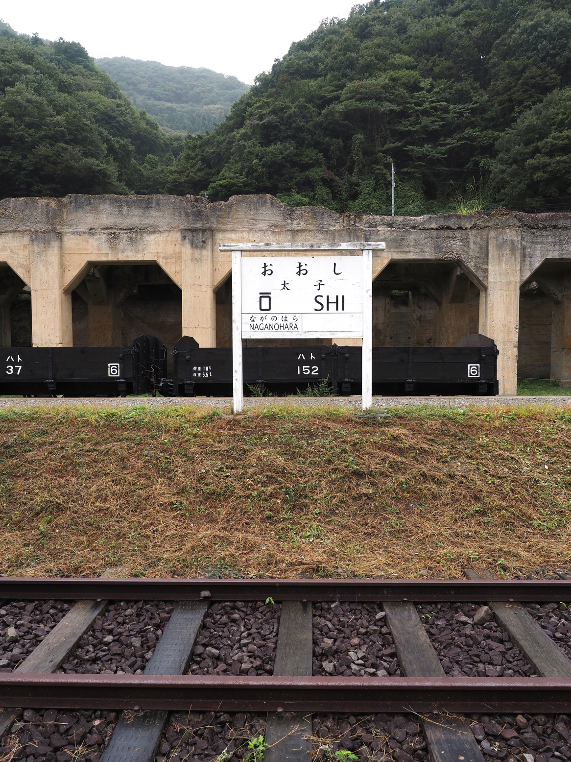 PA050112.jpg